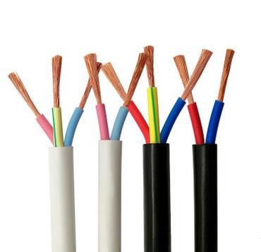 RVV2 3 4芯电缆*1.5 2.5 4 6平方铜芯电线电缆阻燃护套线软线 2芯0.5平方
